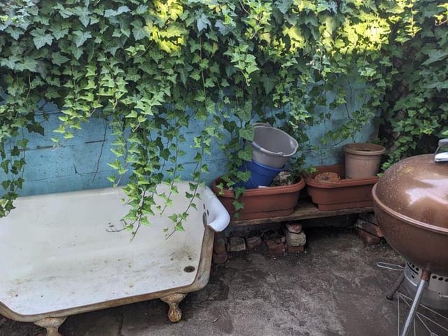 What should I do with my tiny backyard? – Reddit Post