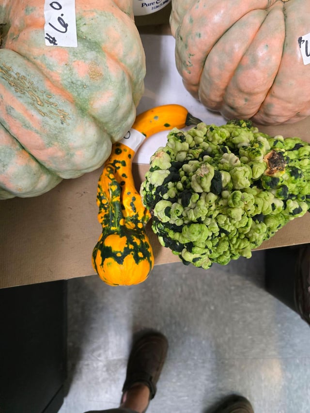 Mother nature sure grows funny things. – Reddit Post