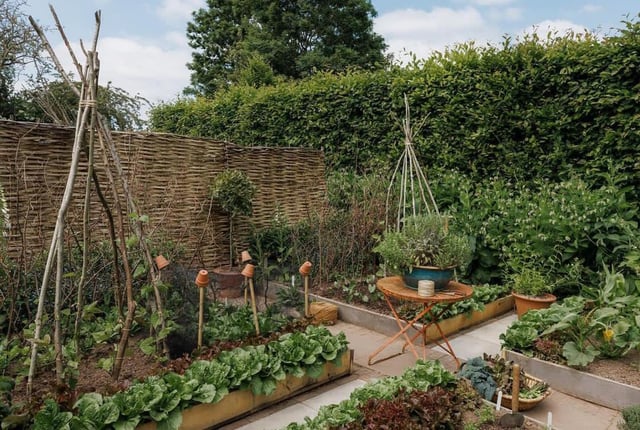 View from my grandmother’s garden… – Reddit Post