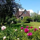 Landscaper dug up my very established flower bed – Reddit Post