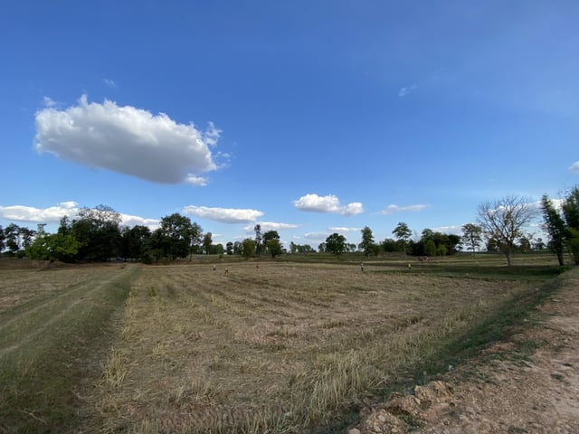 I want to grow vegetables because there’s unused space behind my house, so I’d like to give it a try. I’d like to know how to start since we’ve never grown anything before and don’t have any plants or seeds. Should I buy them or what should I do? Thank you. – Reddit Post