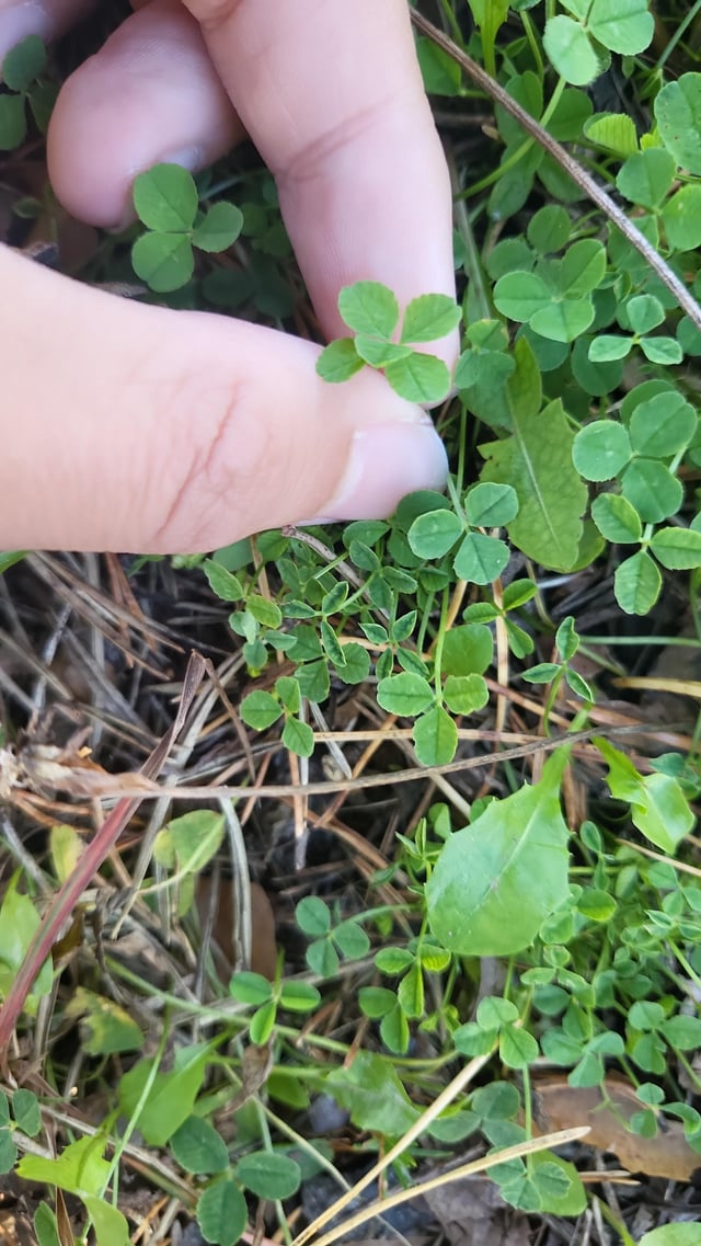 How lucky am i? – Reddit Post