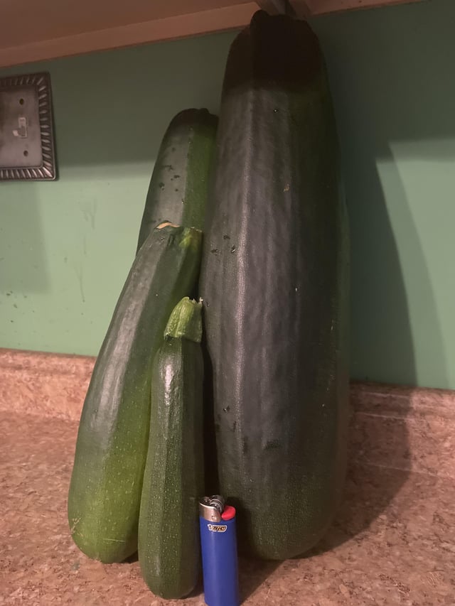 Went out to check before pulling everything up… – Reddit Post