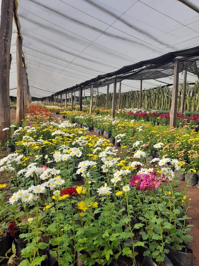 happy start of spring🏵🌹 – Reddit Post