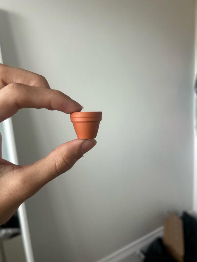 Cute but… – Reddit Post