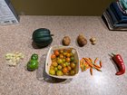Today’s harvest – Reddit Post