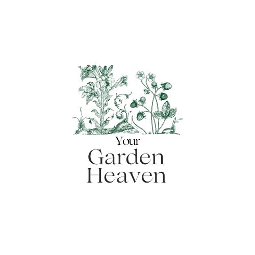 Your Garden Heaven Created by @novitachrs