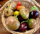 I’ve hit the 5 lbs a day point of my harvest in California – Reddit Post