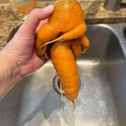 Frankenstein Vegetables – Reddit Post