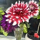 Flowers!!! – Reddit Post