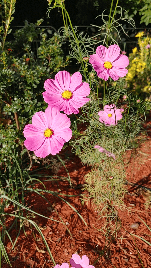 Late bloomers – Reddit Post