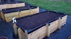 First-year gardening with my homemade sub-irrigated planter beds