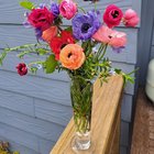 Spring time bunch from the garden ❤️🩷💚 – Reddit Post