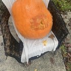 Roommates used my 57lb pumpkin as a BB gun target while I was away on holidays – Reddit Post