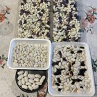 Beans, beans, and more beans – Reddit Post