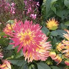 Brighten up the day – Reddit Post
