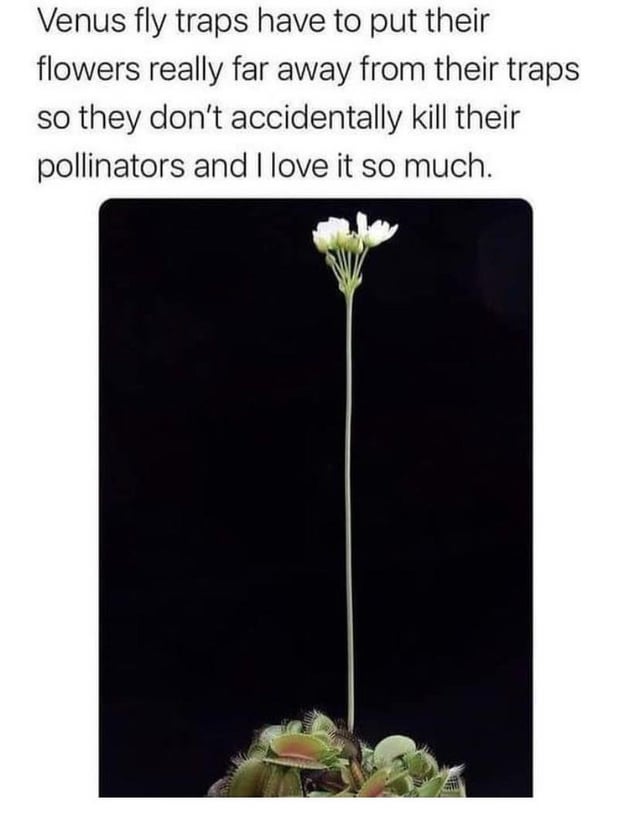 I was just told this today and I honestly don’t know why it makes me laugh so much haha – Reddit Post