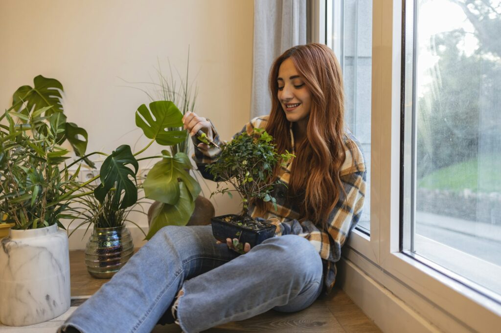 caucasian woman pruning bonsai at home