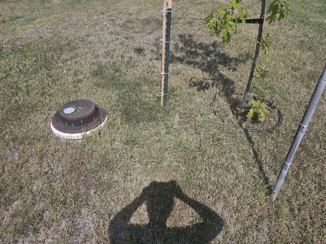 Is my oak tree too close to my water line – Reddit Post