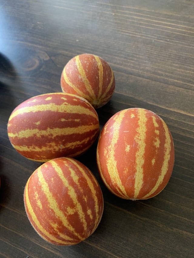 Sweetness melons – Reddit Post