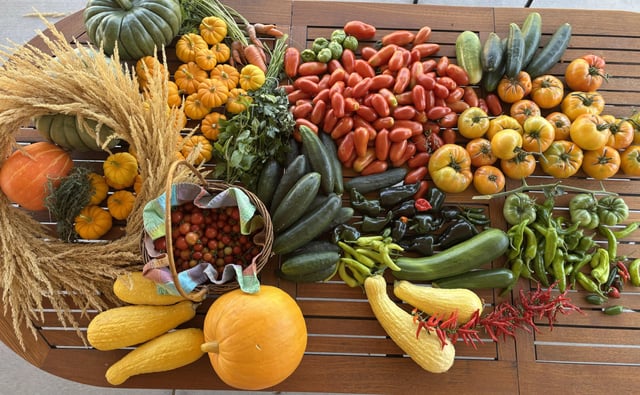 My Colorado Harvest 💕🏔️ – Reddit Post