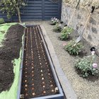 Proud of our hard work today! Built and painted a box and planted 164 tulips – Reddit Post