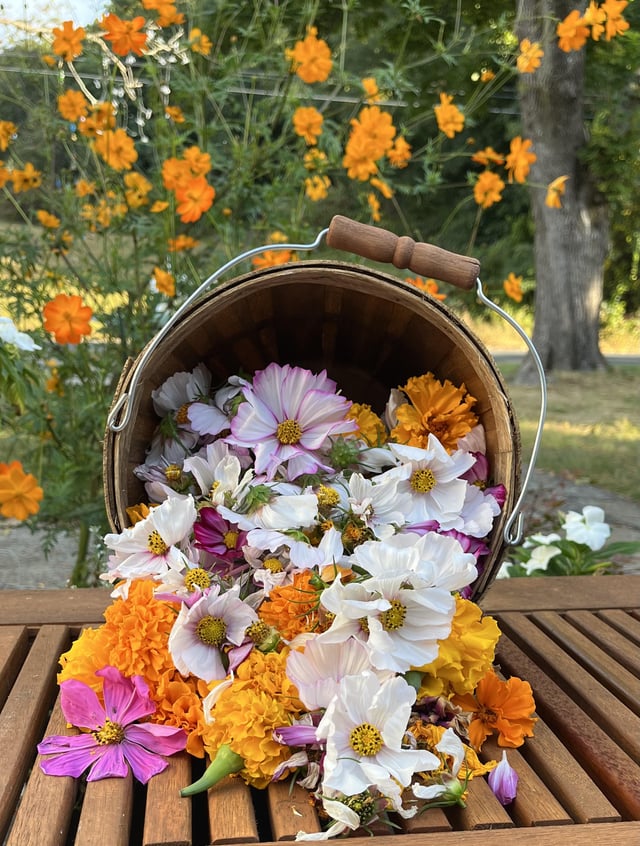 Basket of deadheads for next year’s garden – Reddit Post