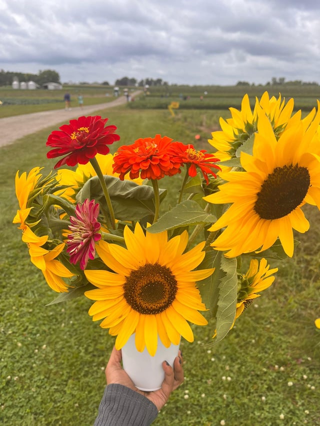 Beautiful flowers hand plucked by my friend ❤️ – Reddit Post