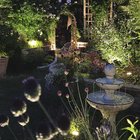 My garden turned 4 this year. – Reddit Post