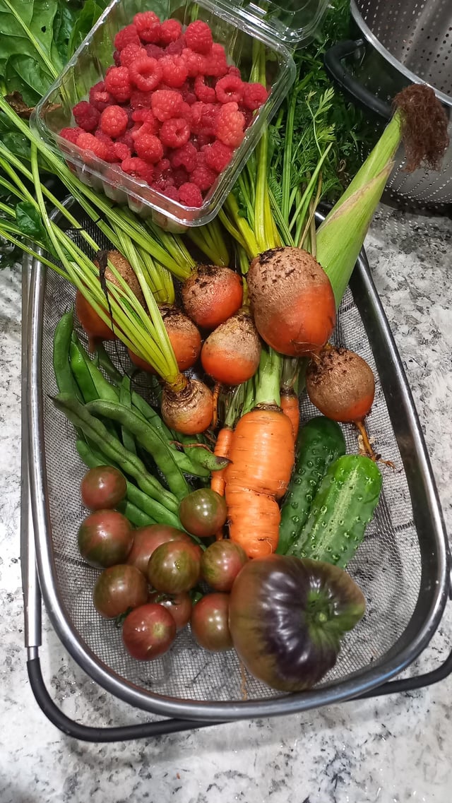 Today’s Haul – Reddit Post