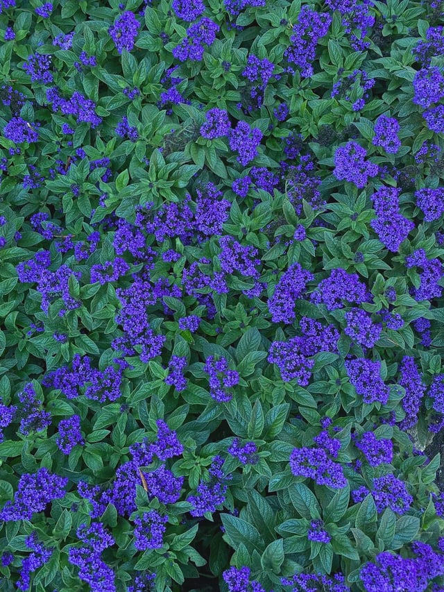 These colours just give me peace. – Reddit Post