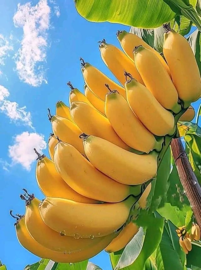 💛 – Reddit Post