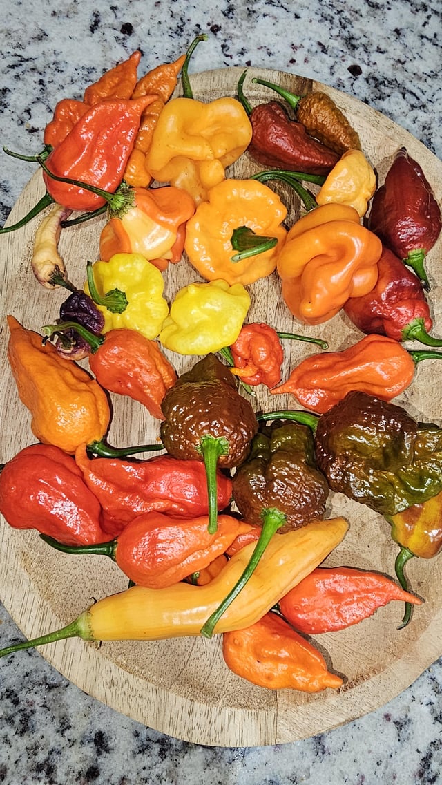 Peppers – Reddit Post
