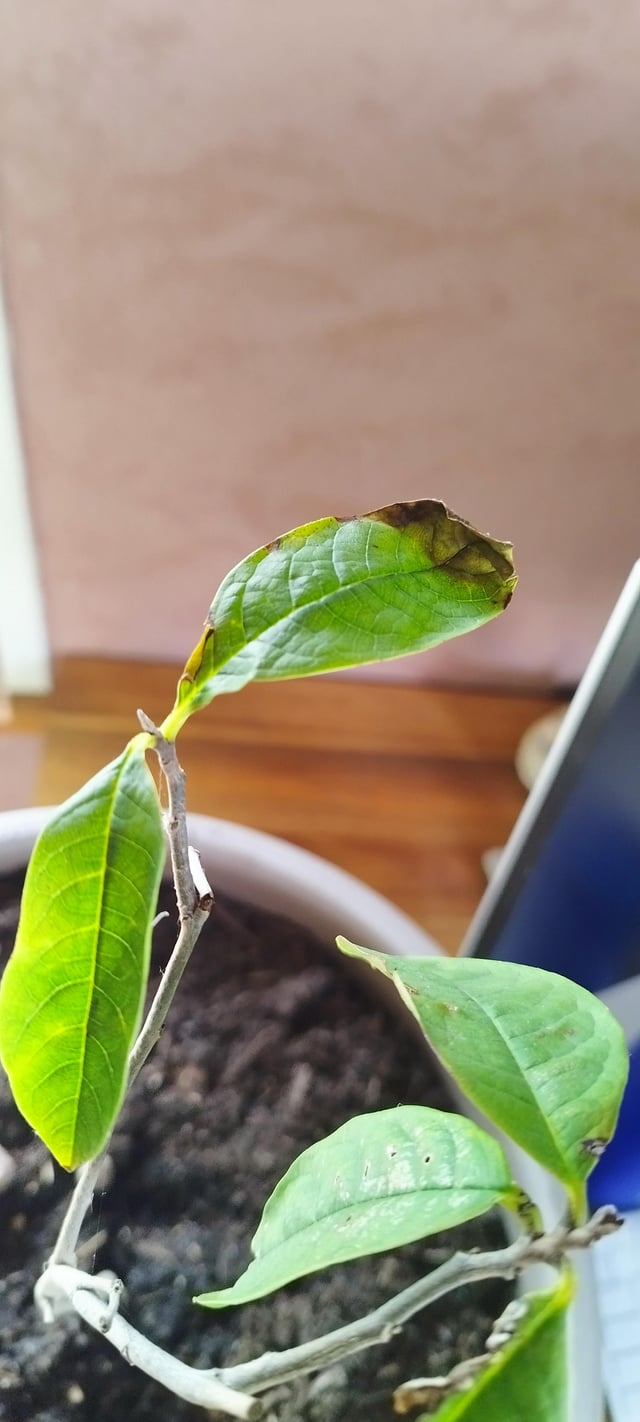Anyone able to tell me what im doing wrong? – Reddit Post