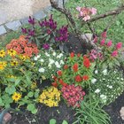 First timer. How am I doing? – Reddit Post