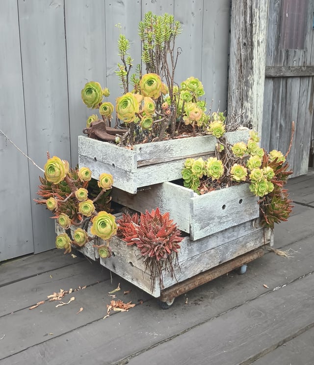What edible plants would thrive in this structure? – Reddit Post