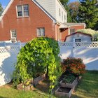 First year garden – Reddit Post