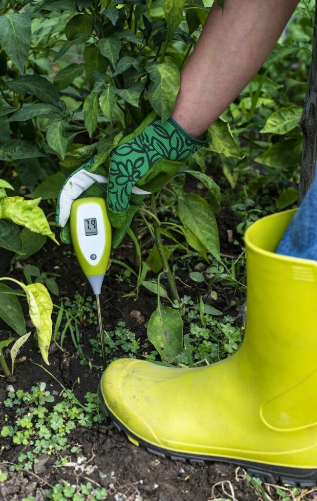 Moisture meter tester in soil. Measure soil for humidity with di