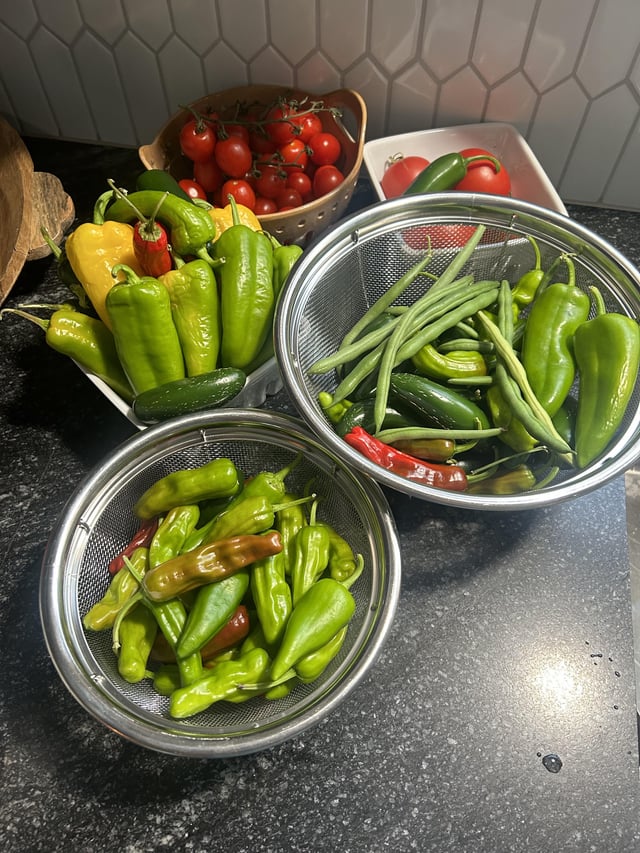 Start of my first harvest!🥰🍃 – Reddit Post