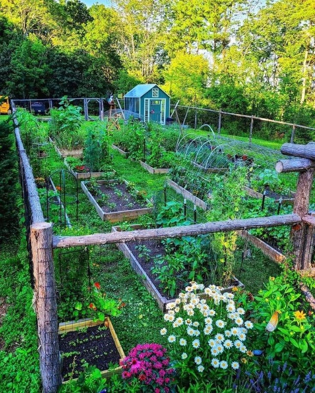 what a special garden to have – Reddit Post
