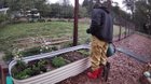 Salad greens from a foggy garden – Reddit Post