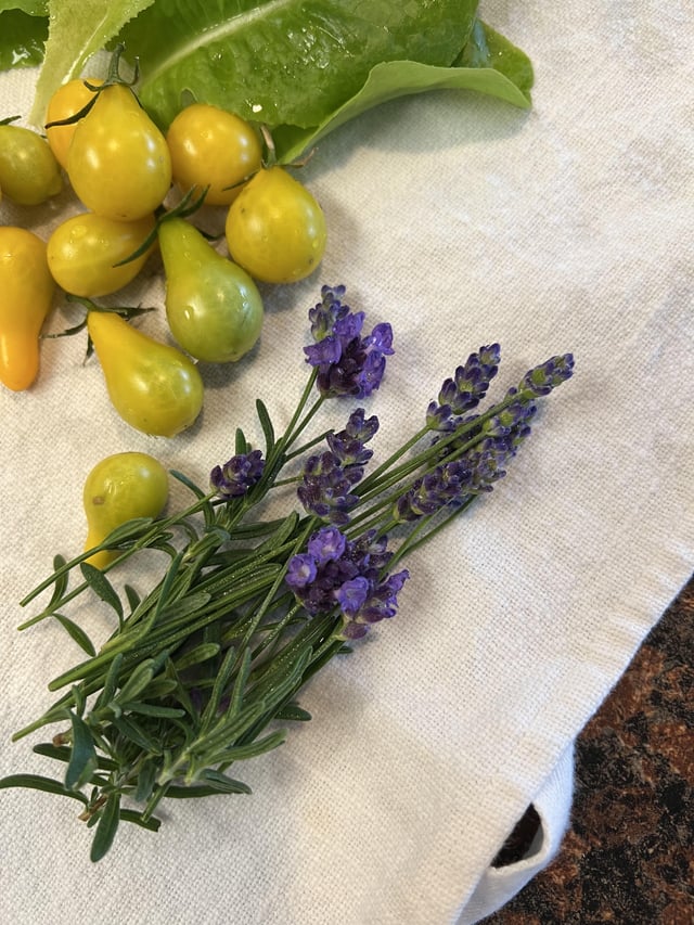 Is this lavender?? – Reddit Post