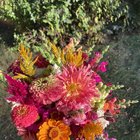 My last bouquet of the season from my garden – Reddit Post
