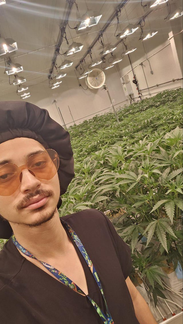 Working in veg – Reddit Post