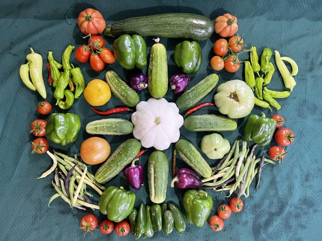 Gorgeous harvest earlier this year – Reddit Post