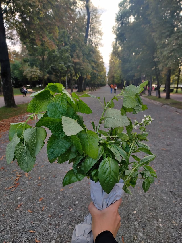A friend gifted me this bouquet