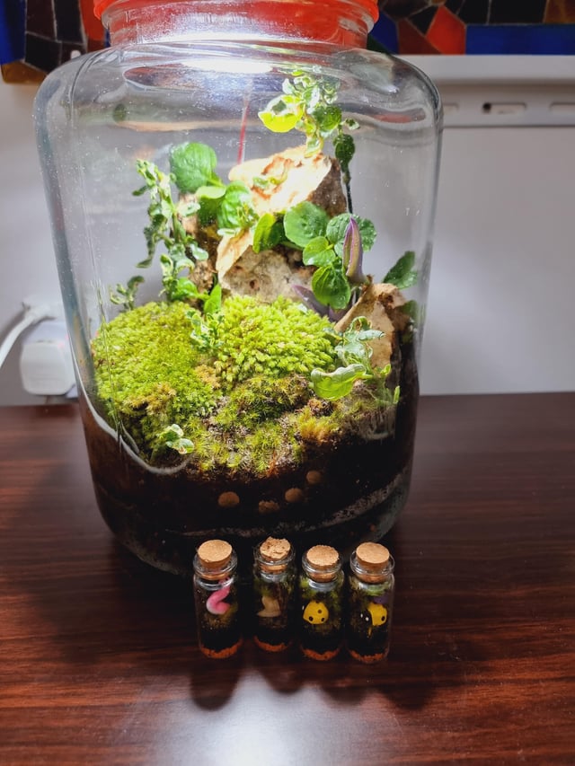 Terrarium – Reddit Post