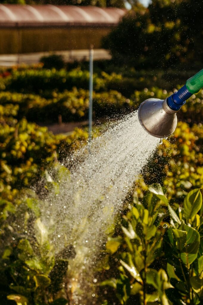 Vertical shot of a hose watering the garden