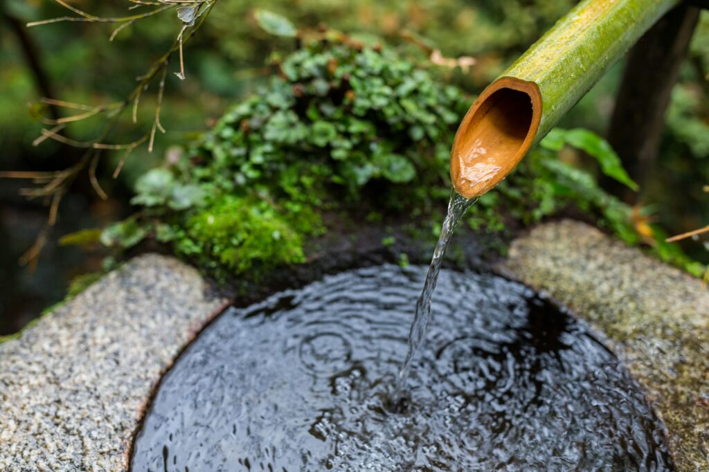Water bamboo in Japanese temple