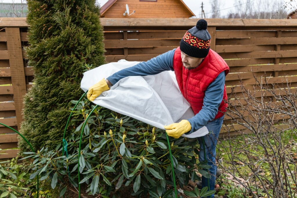Winter Protection for garden, winter shelter for garden plants, shelter rhododendrons